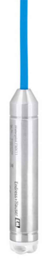 E+H Waterpilot FMX11 Transmitter