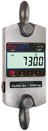 Rice Lake MSI-7300 Dyna-Link 2 Crane Scale