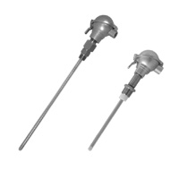 Intempco LTX05 Capacitance Level Sensor